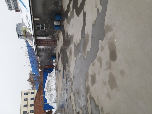 市區(qū)帶院子平房出租