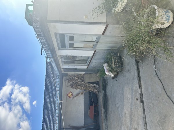 葛家鎮(zhèn)赤金泊村好地角四間平方出租