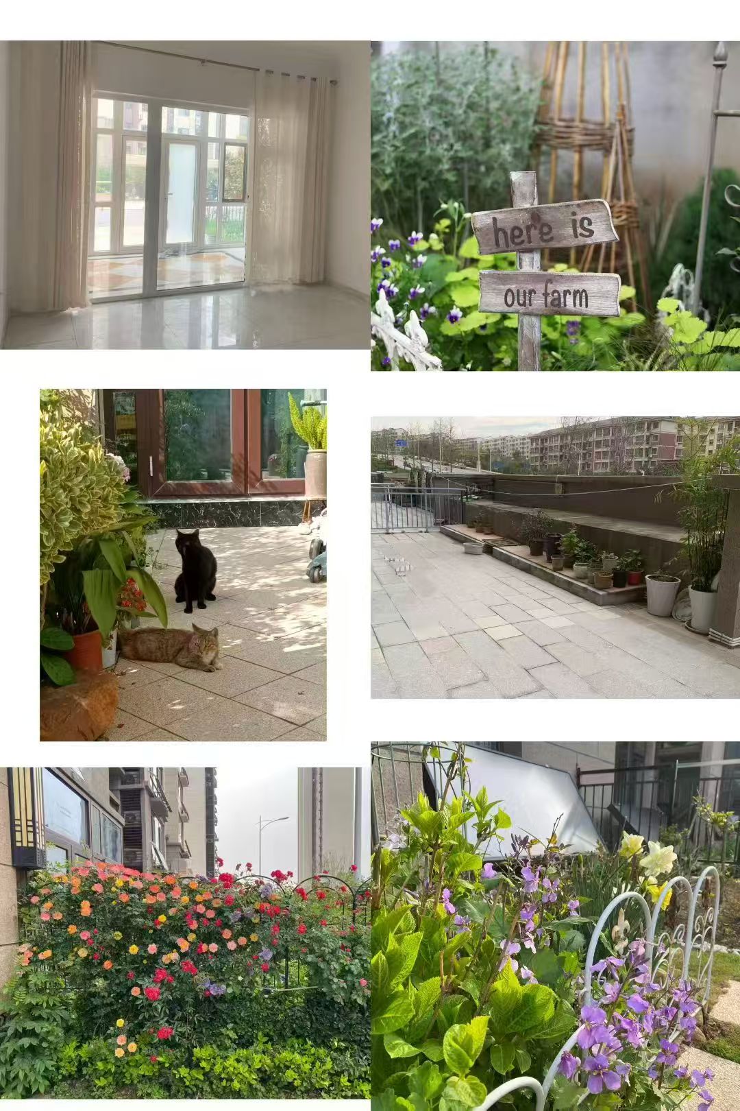 翡翠郡一樓帶前后院120平兩室兩衛(wèi)66.8萬 翡翠郡一樓帶前后院120平兩室兩衛(wèi)66.8萬