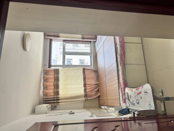 二實(shí)小對(duì)面審計(jì)局后