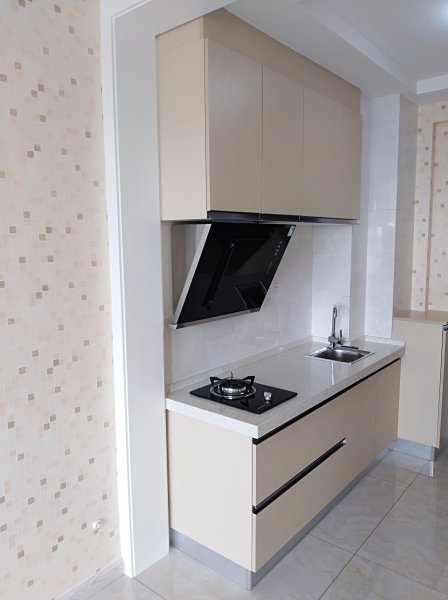 卓凡公寓可做養(yǎng)生錧對(duì)外出售