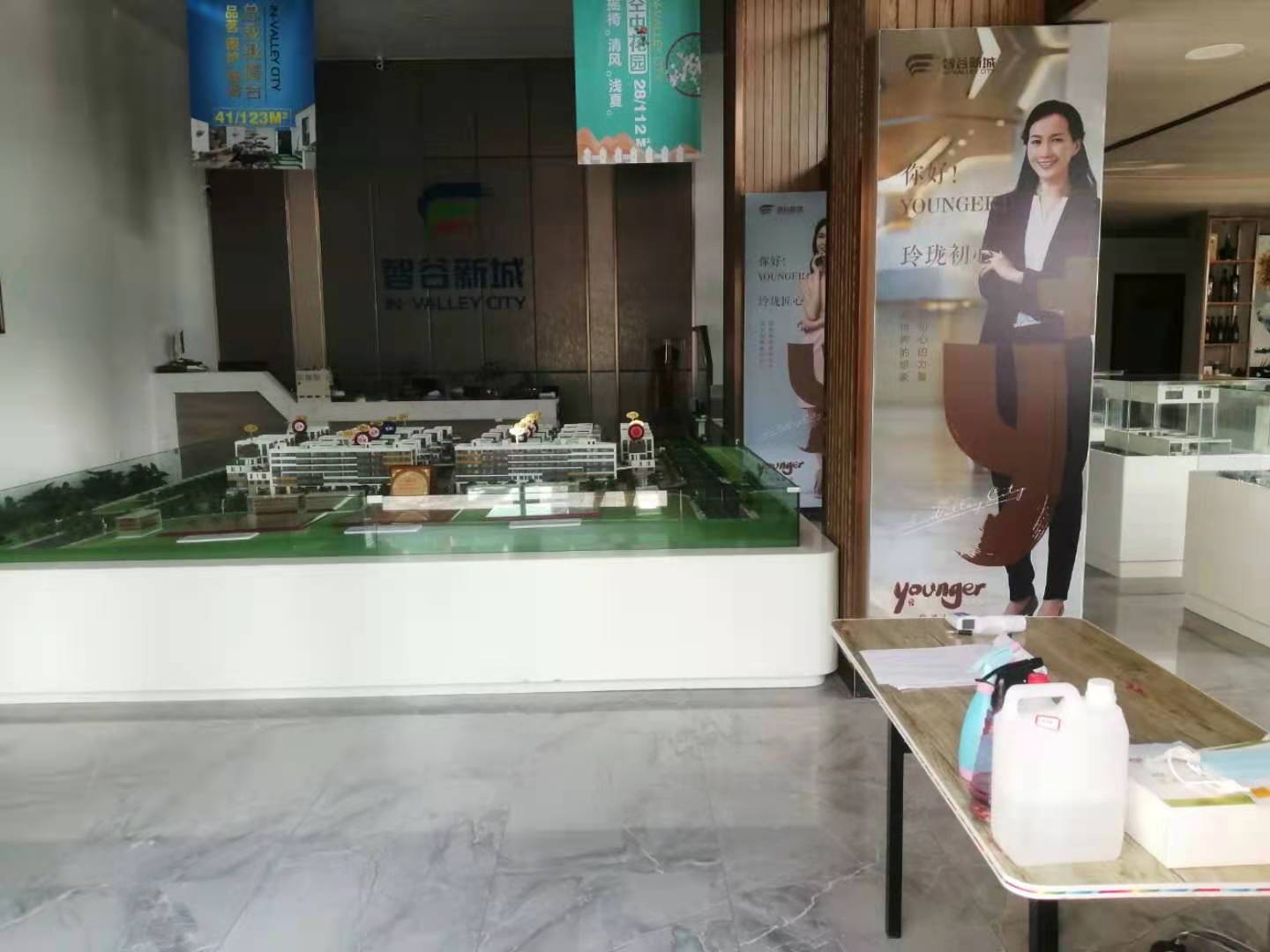 智谷新城3層別墅出售