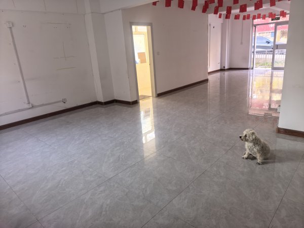 城南單山路旺鋪出租